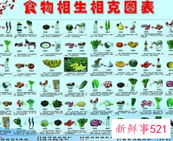 什么菜相克不能一起吃