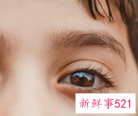 眉毛变浓密小妙招