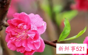 如何斩断自己的烂桃花