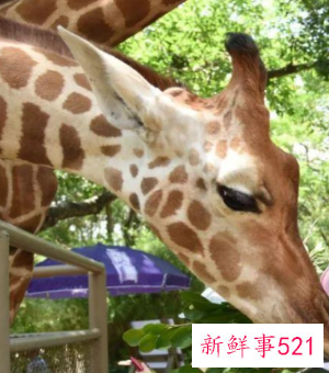 适合小孩玩的地方是哪里呢