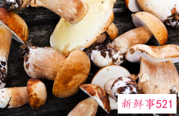 松茸不能跟六种食物一起