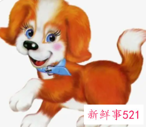 婚姻最享福受宠生肖女