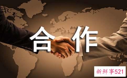 设计合作协议书