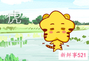 属虎穿啥颜色衣服旺财