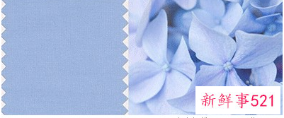 就要明目张胆的来扮嫩