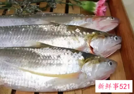 什么鱼营养价值最高又便宜