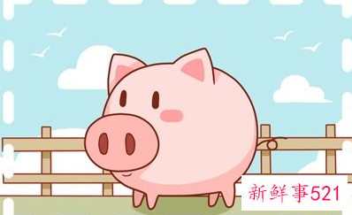 属猪人在2022年结婚合适吗