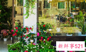 女人开花店的好处