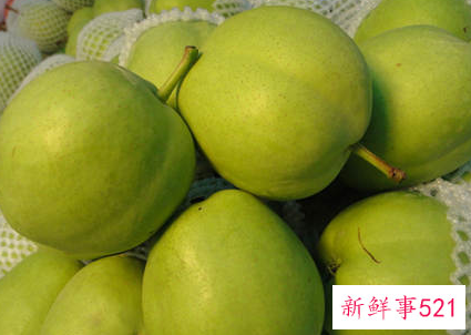 怀孕是否可以吃早酥梨