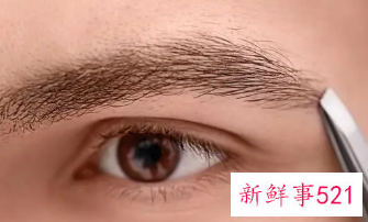眉毛变浓密小妙招