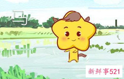 属马跟属马的姻缘怎么样