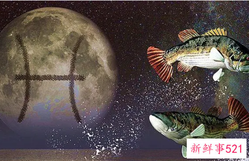 双鱼座女孩怎么聊