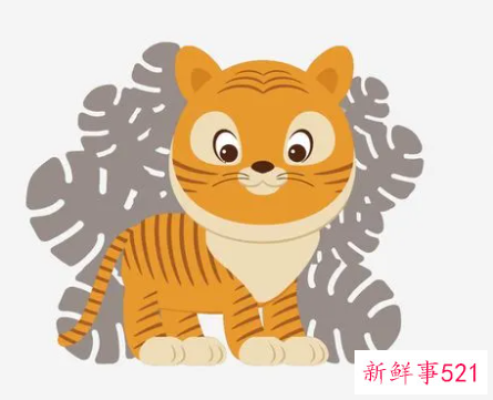 做梦梦见老虎的征兆