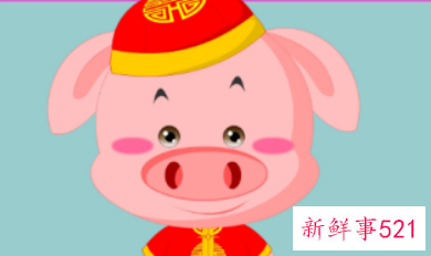 属猪在虎年的运气如何