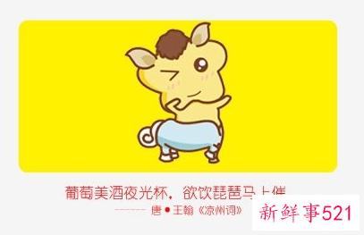 2022属马的全年运势