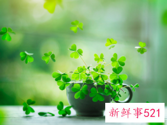 男孩的教育关键在父亲