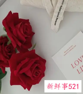 对象送花给什么文案