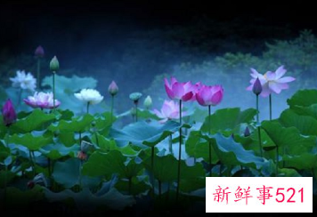 女生沉稳大气自备稿件