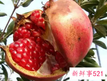 吃什么可以让皮肤紧致预防下垂