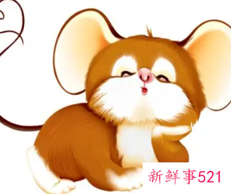 属鼠的女人佩戴什么招财