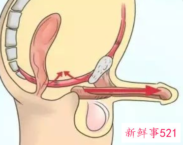 男人做什么运动能增强性功能