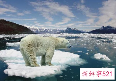 北美高温致海滩大量蛤蜊死亡