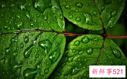 男人能长期忍受无夫妻生活吗