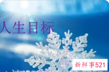 人生目标简短概括
