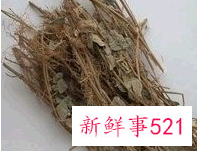 双金钱草的功效与作用