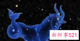 摩羯座感情占卜