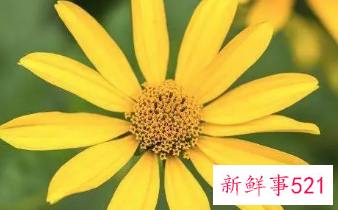 老年女性微信名大全