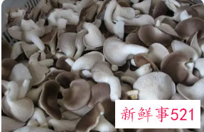 孕妇能吃袖珍菇吗