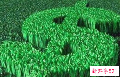 赚钱致富的方法有哪些