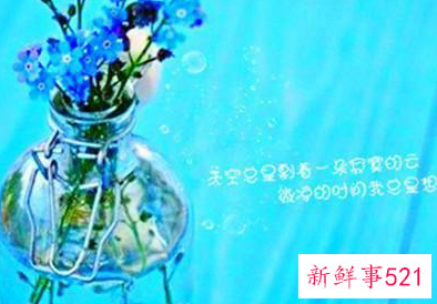 长文案励志治愈