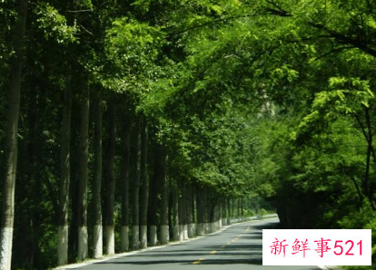 北京周边自驾游