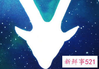 什么星座人品最好