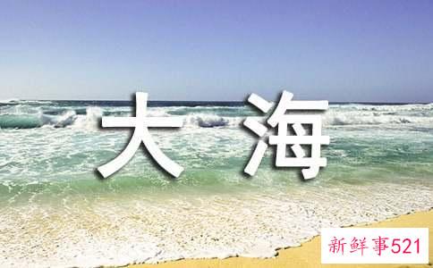 梦见大海有什么预示