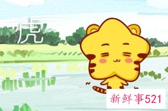 1986年属虎的幸运颜色和数字