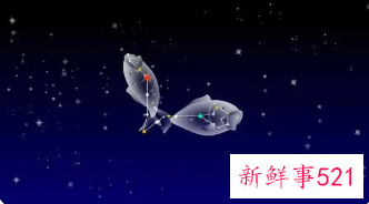 双鱼座孤独的最高境界