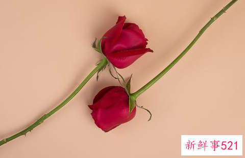 白羊座一生三次情劫