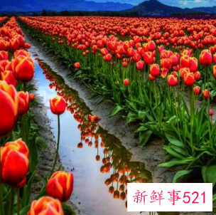 梦见孩子脚上长包什么意思