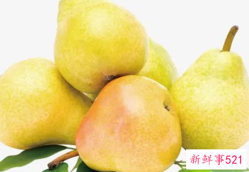 梨的品种有哪些