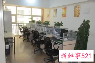 最新贸易公司名字