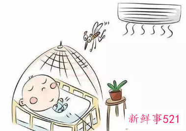 自制一瓶高效无毒驱蚊水