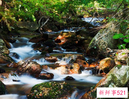 梦见死人全过程