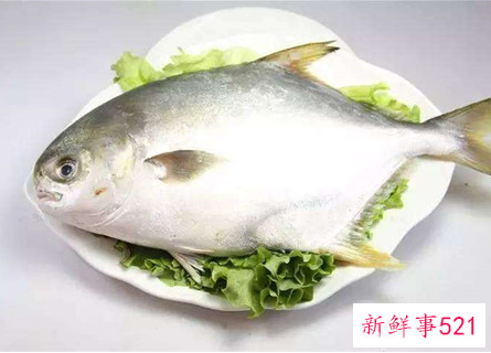 什么鱼营养价值最高又便宜