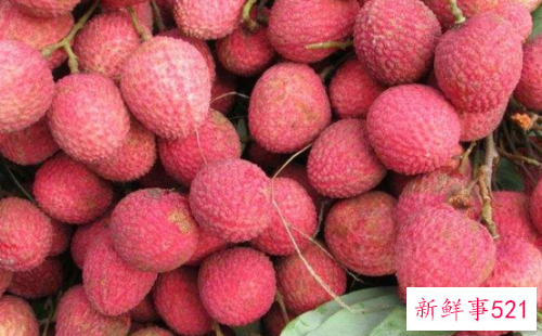 荔枝的自述作文500字