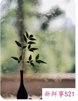 象征平淡幸福的网名