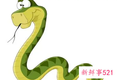 关于蛇的顺口溜