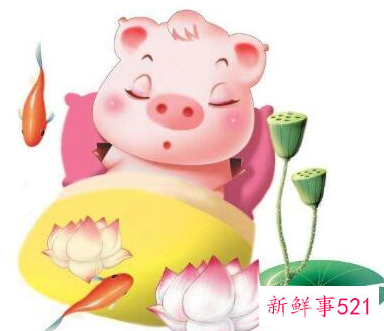 金猪摆放在卧室什么位置好